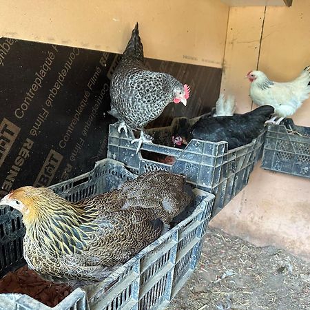 La Villagio Parmain Zewnętrze zdjęcie