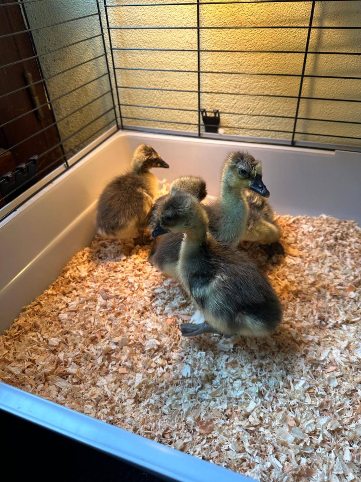 La Villagio Parmain Zewnętrze zdjęcie
